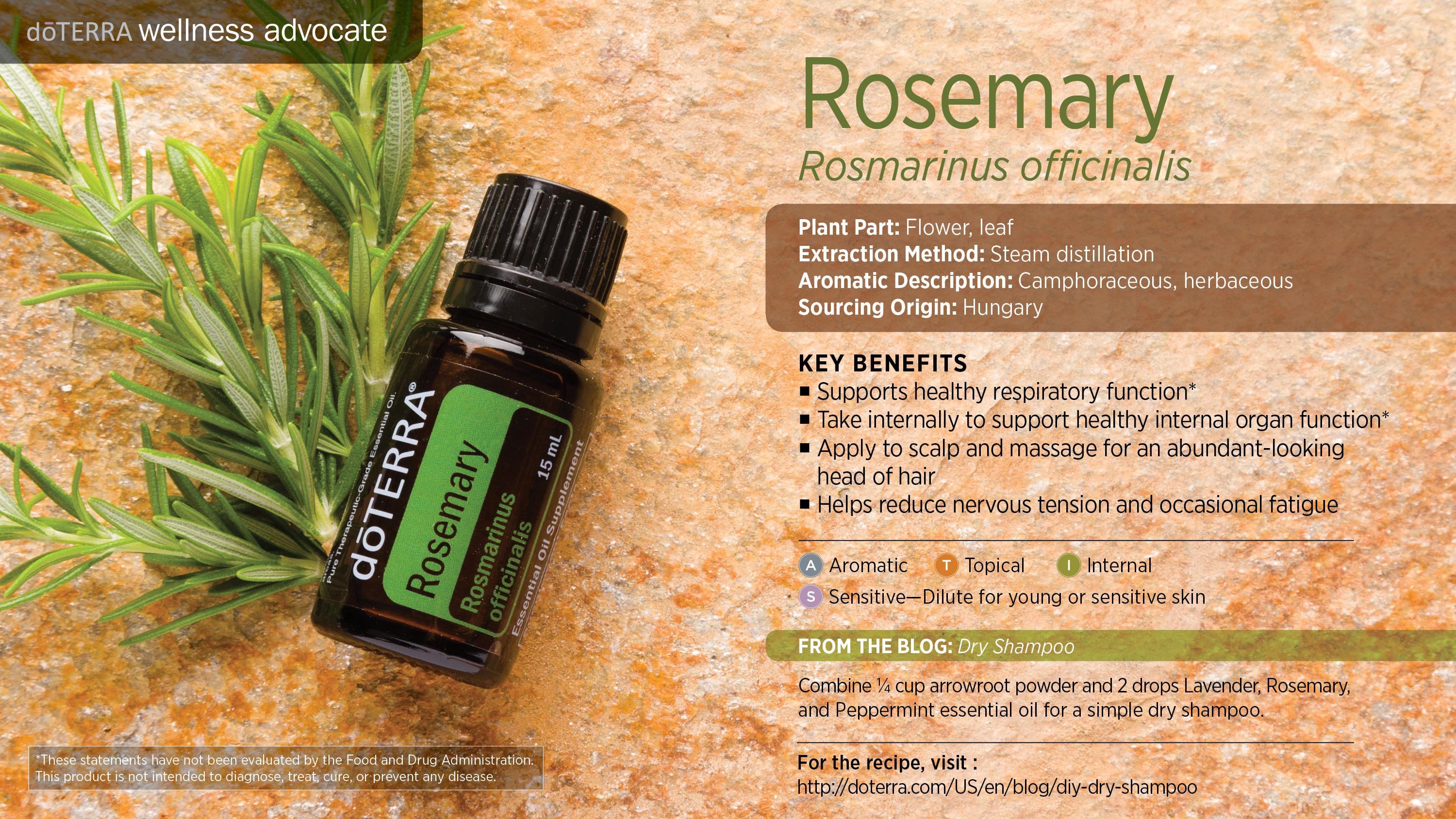 Rosemary Oil | dōTERRA Essential Oils