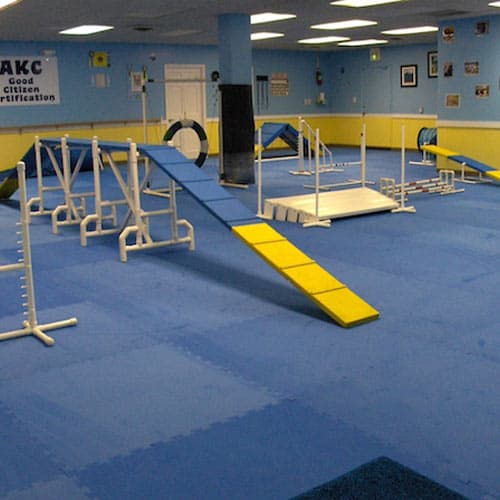 Dog Agility Mats - Dog Agility Flooring, Flyball Mats for Dogs