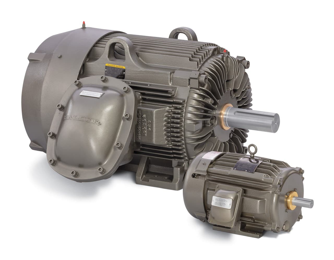 Baldor-Reliance Severe Duty Motor – ssbsiam