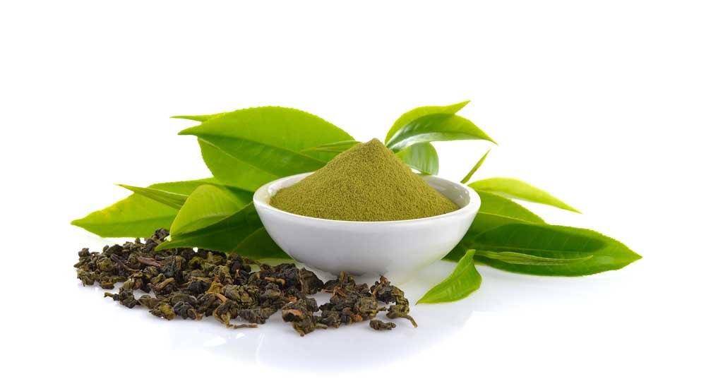 Green Tea Extract 50% at Rs 500/kilogram | Green Tea Extract | ID ...