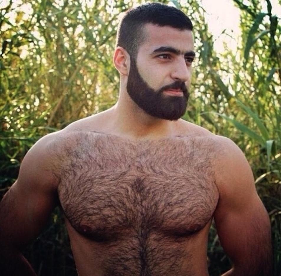 Fit Hairy Men: Photo