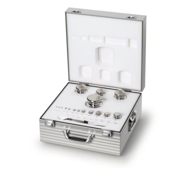 Mettler Toledo M1 OIML Class Standard Weight Set (M1 PL E) 1 to 500 mg ...