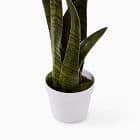 Faux Potted Snake Plant | West Elm