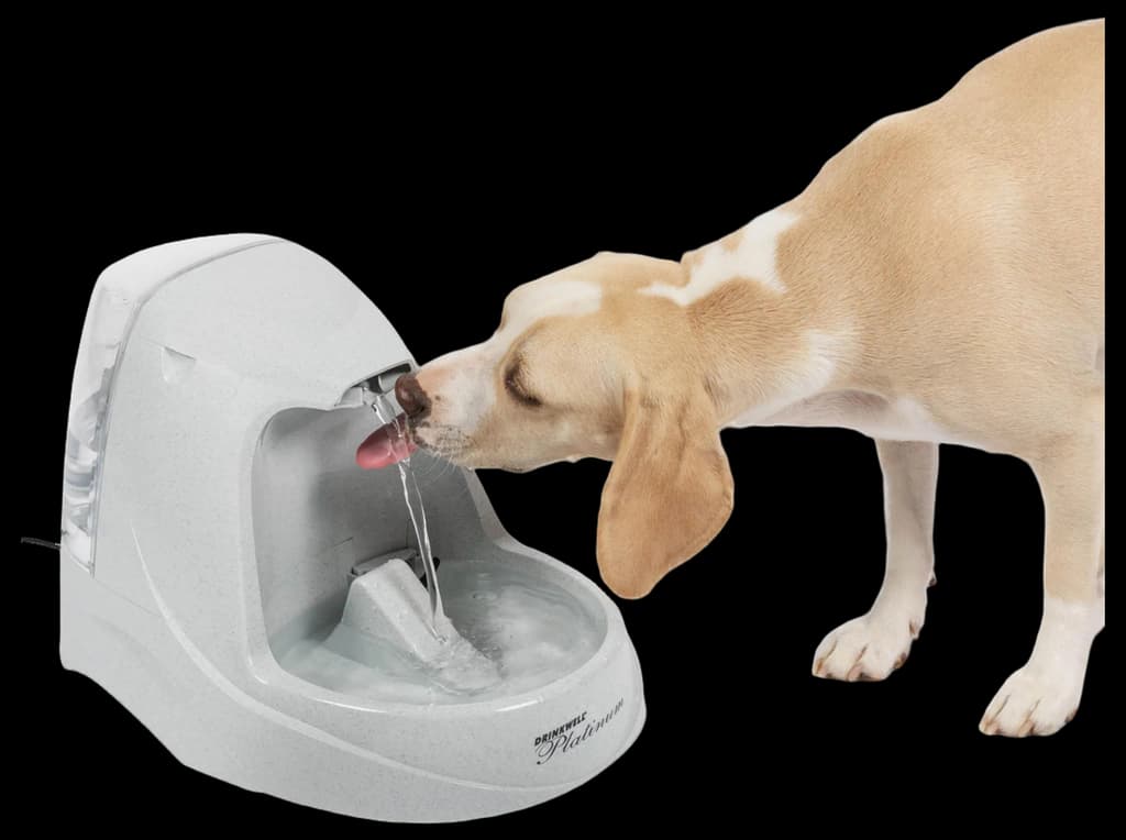 PetSafe Drinkwell Platinum