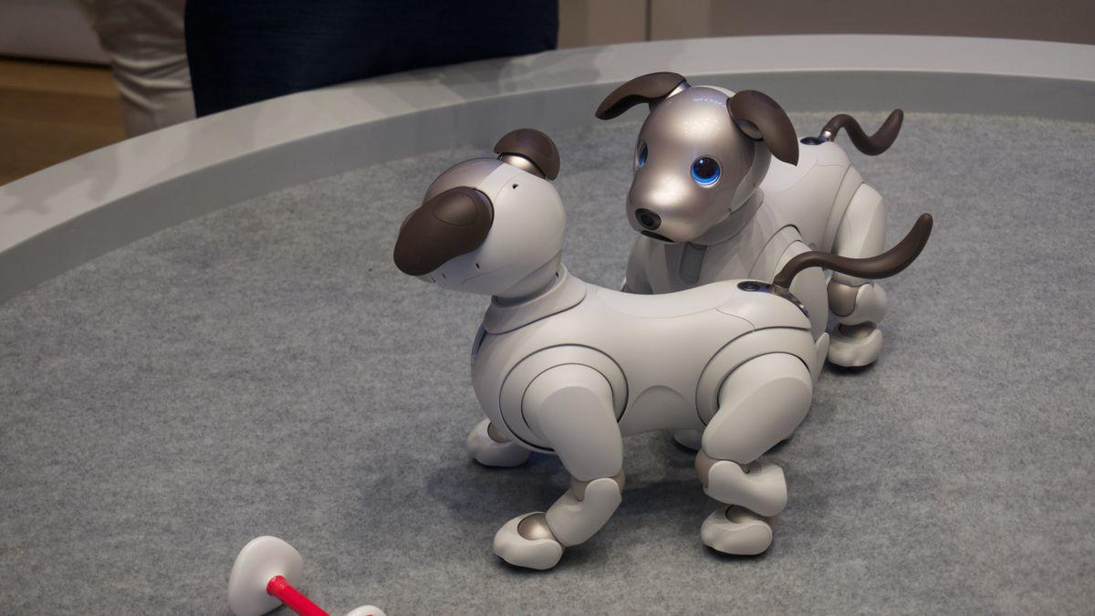 Hands on: Sony Aibo review | TechRadar