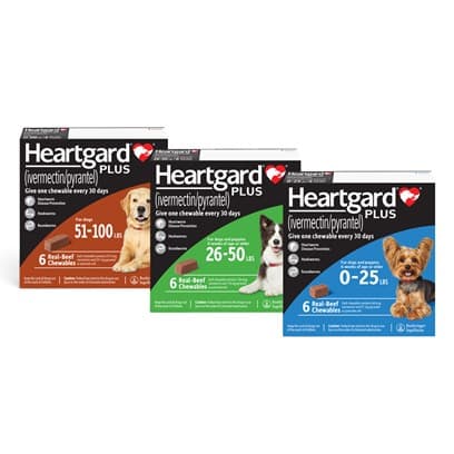 Heartgard Plus Heartworm Chewables for Dogs - PetCareRx