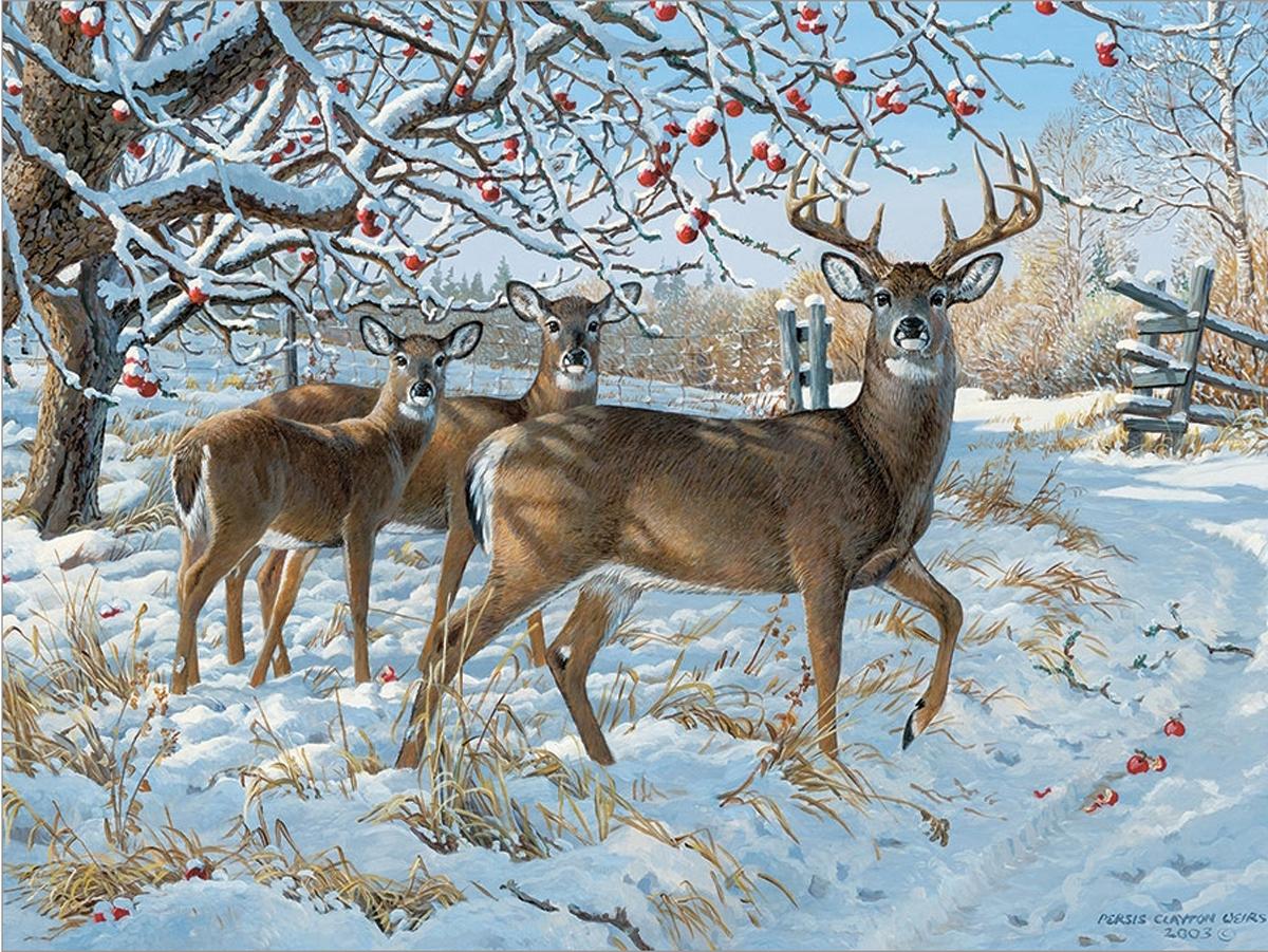 Winter Deer, 500 Pieces, Cobble Hill | Puzzle Warehouse