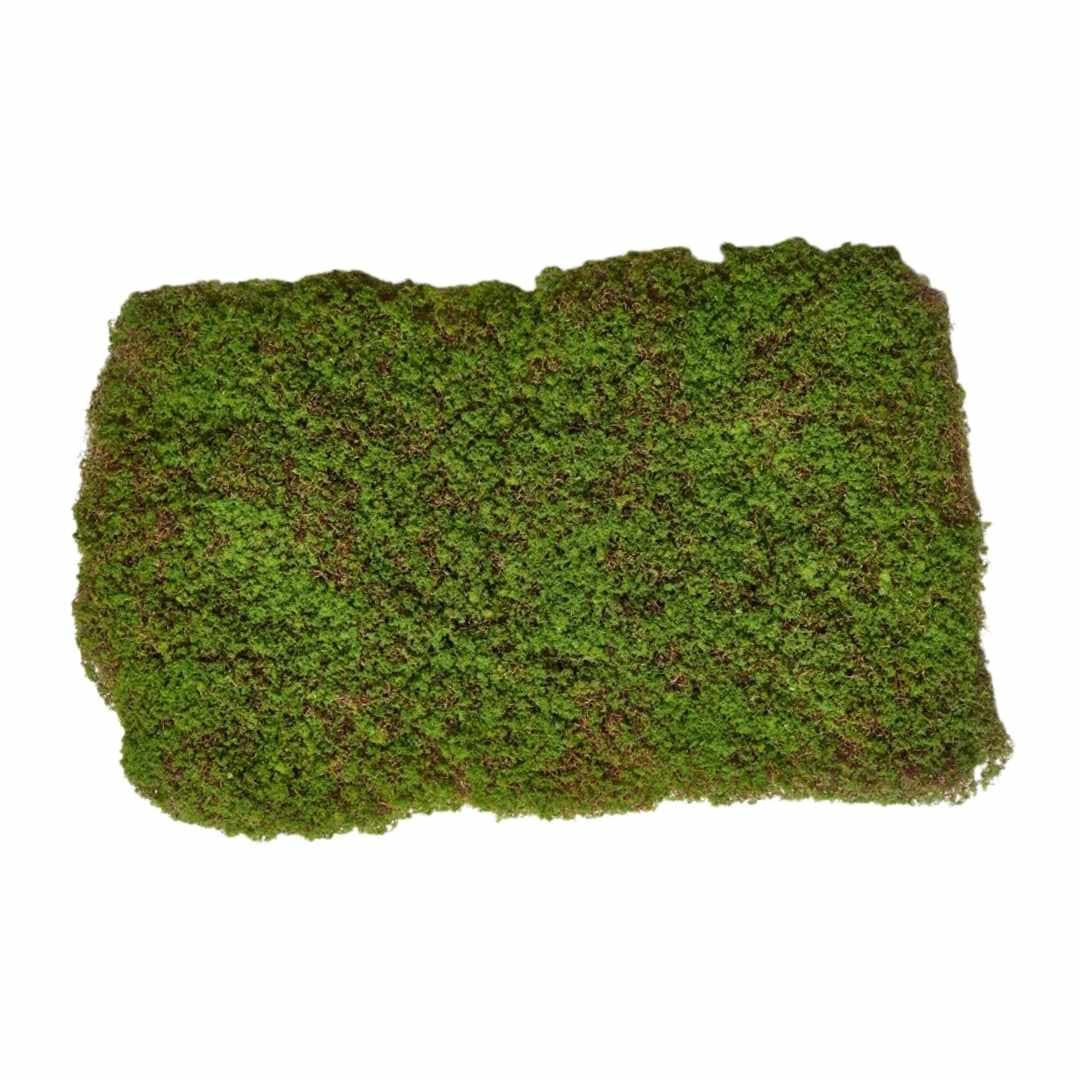 Buy ReptiZoo Natural Moss Mat 30x20cm 2-Pack Online at £5.29