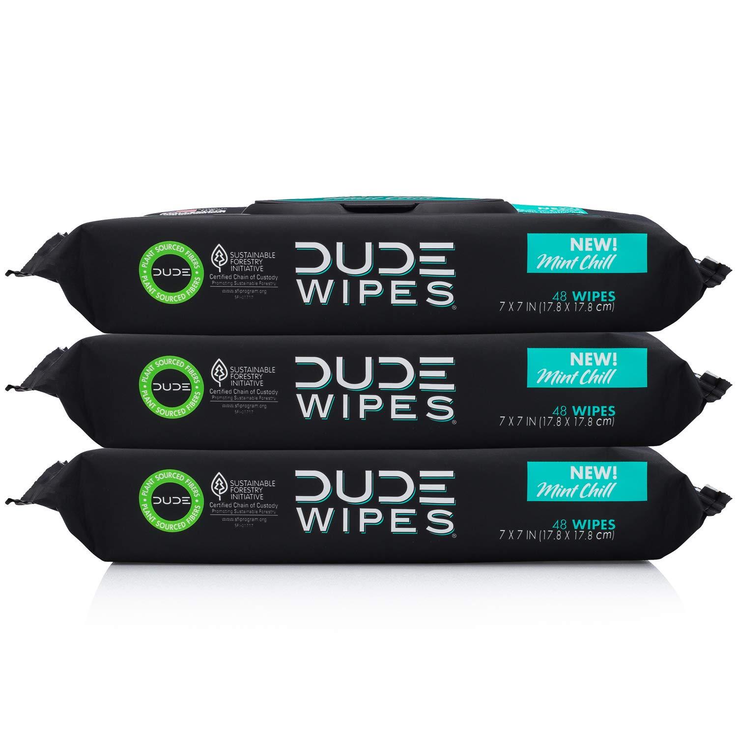 DUDE Wipes Flushable Wet Wipes Dispenser, Mint Chill - Pack of 3 - Fistfy