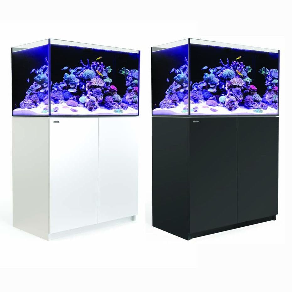 Red Sea Reefer 250 - Frag Box Corals