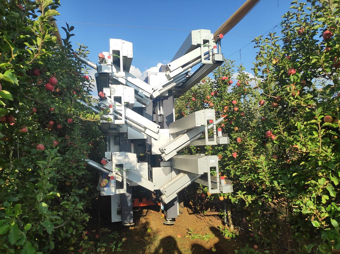 Apple-picking robots set to revolutionize orchard work | Basin Business ...