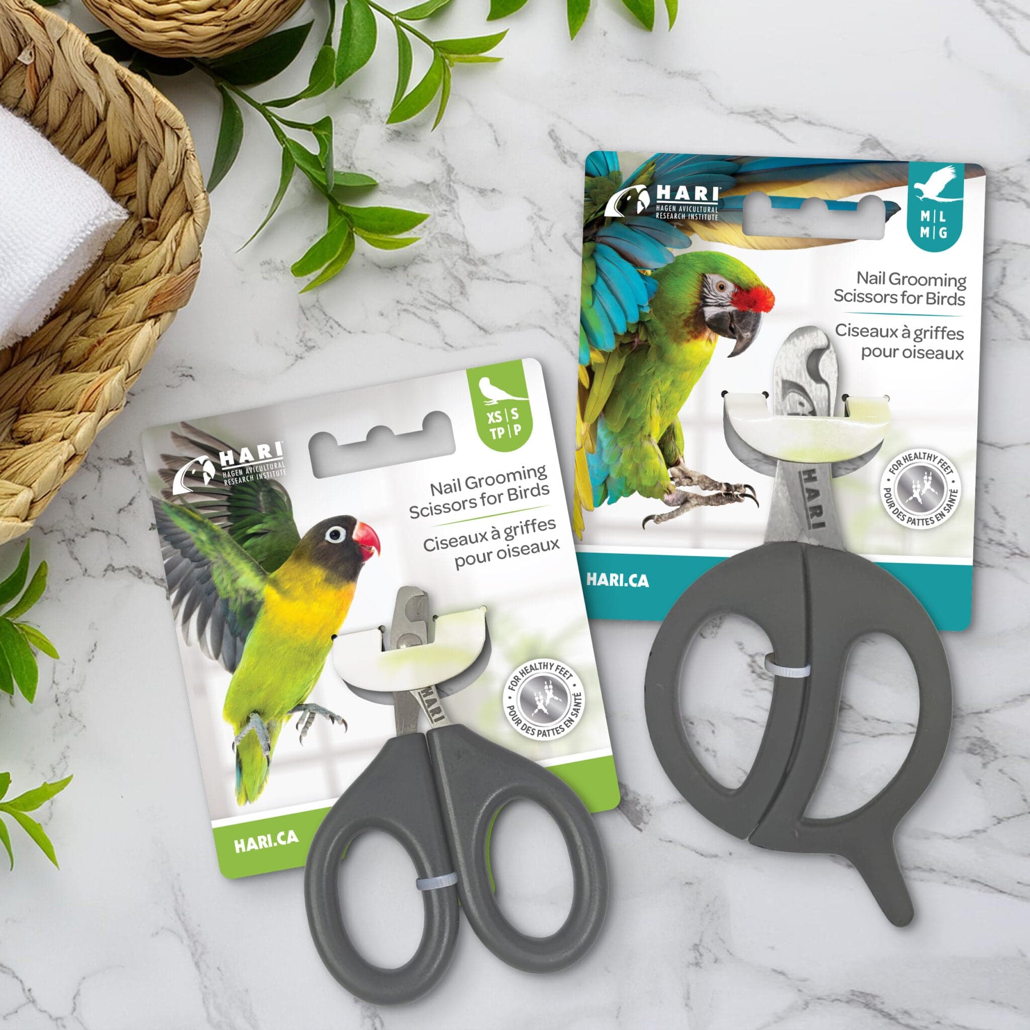 Nail Grooming Scissors for Medium to Large Birds - Hagen Avicultural ...