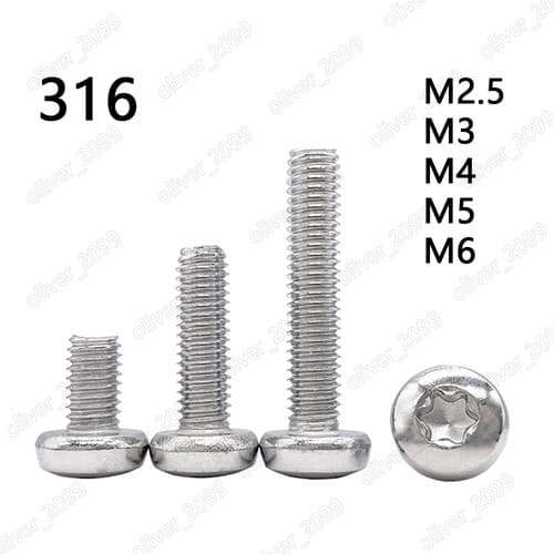 M2.5 M3 M4 M5 M6 316 Stainless Steel Torx Soket Pan Head Screws | eBay