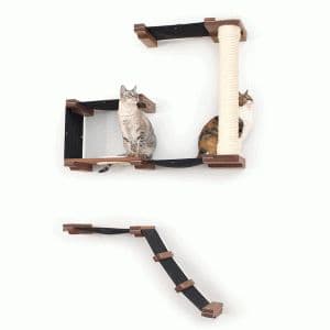 Cat Mod - Climbing Systems Archives ⋆ Catastrophic Creations | Cat ...