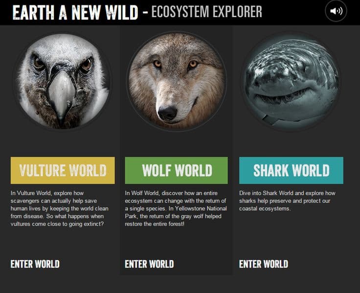 Ecosystem Explorer - Activities for Learning About Predators and Scavengers