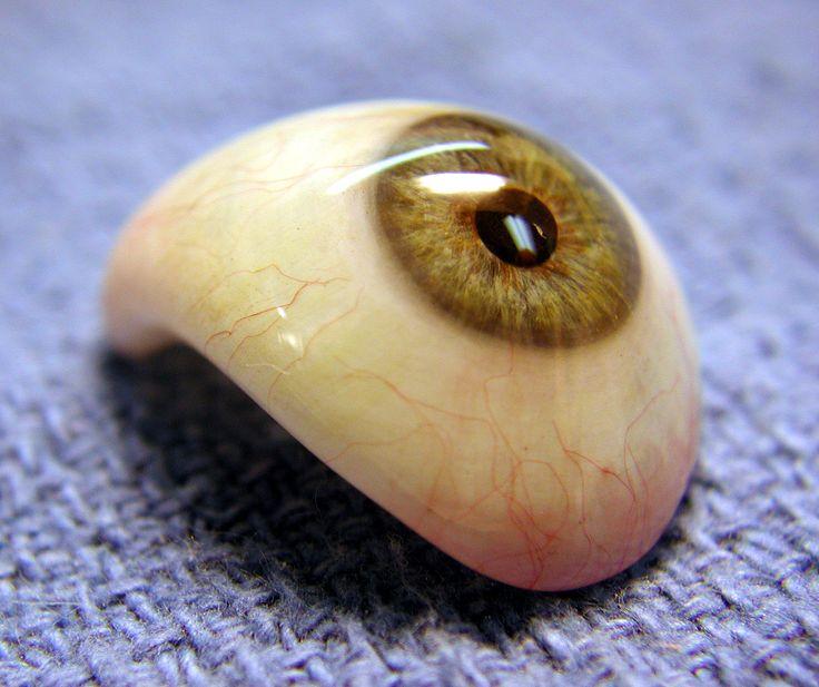 Ocular Prosthetics, Inc. custom made artificial eye. For more ...