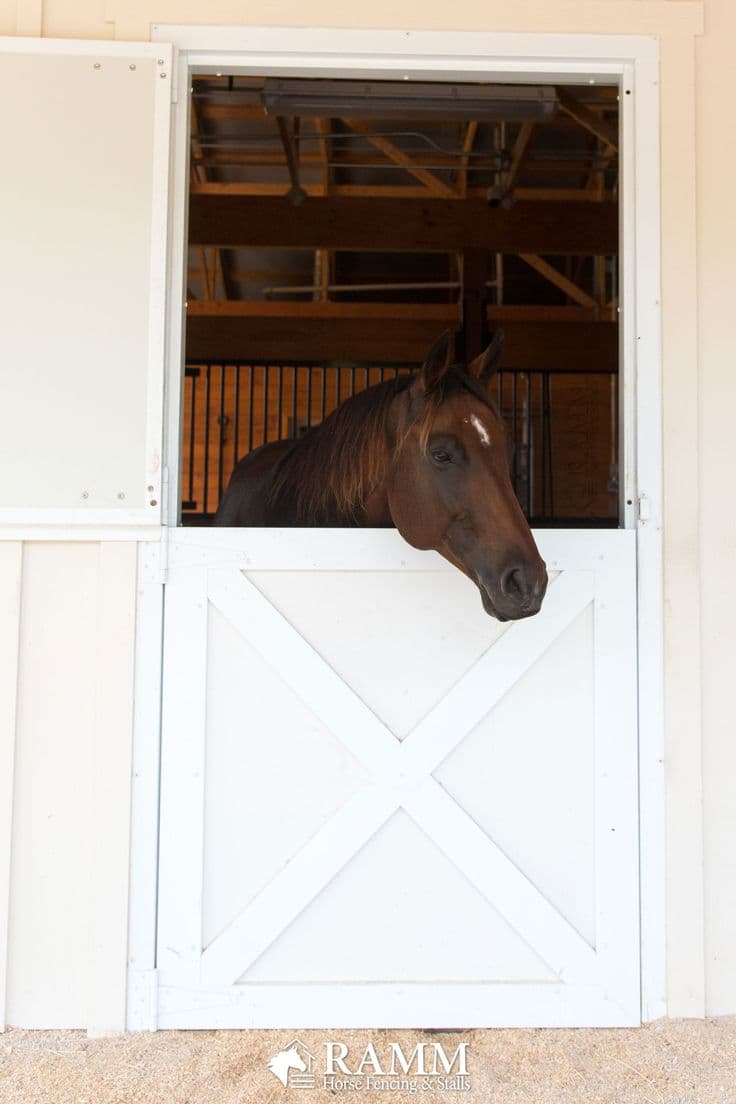 RAMM Dutch Doors for Horses 🚪👉🐴