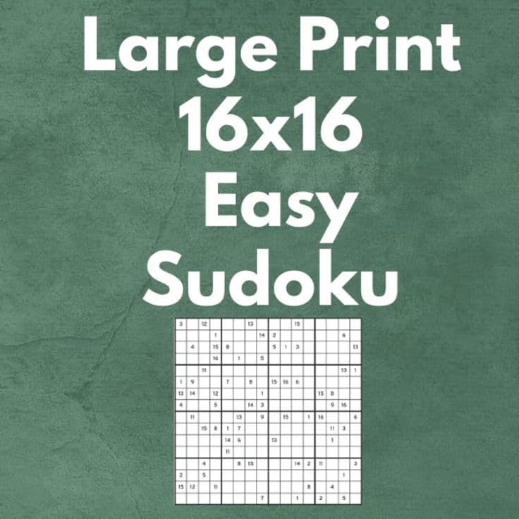 Large Print 16x16 Easy Sudoku 80 Puzzles With Solutions Vol 1: 80 Mega ...