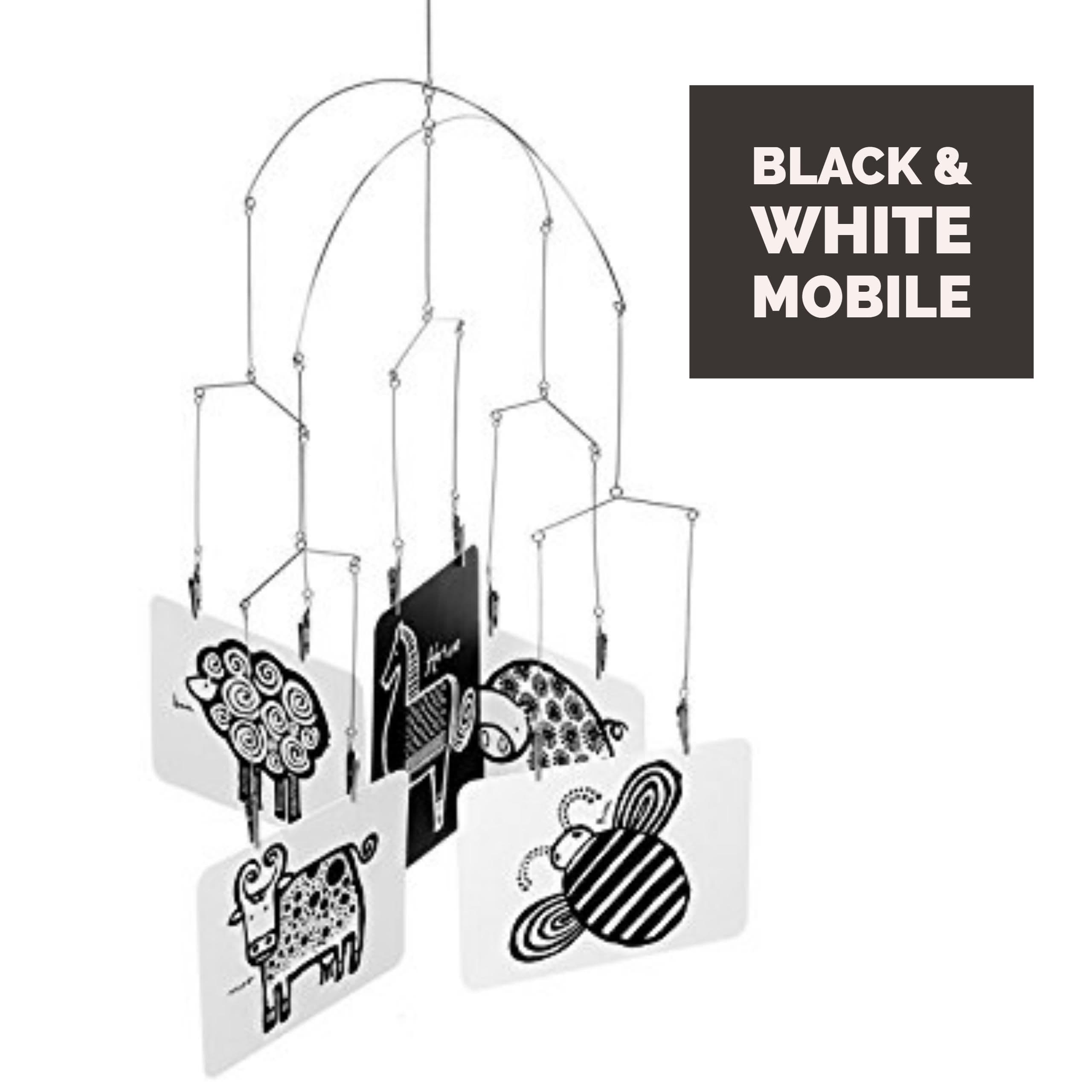 Kikkerland Hanging Display Photo Hanger Picture Collage Clip Mobile ...