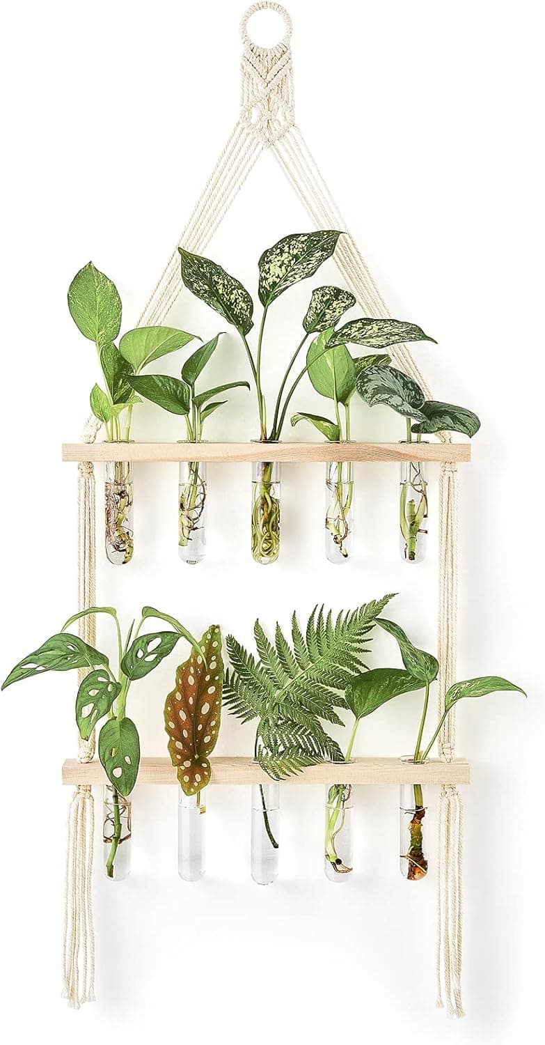 Mkono Wall Hanging Glass Planter with Macrame India | Ubuy