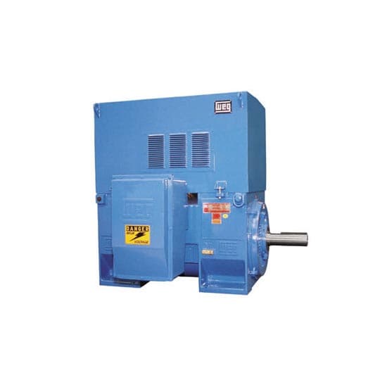 Electric motor WEG