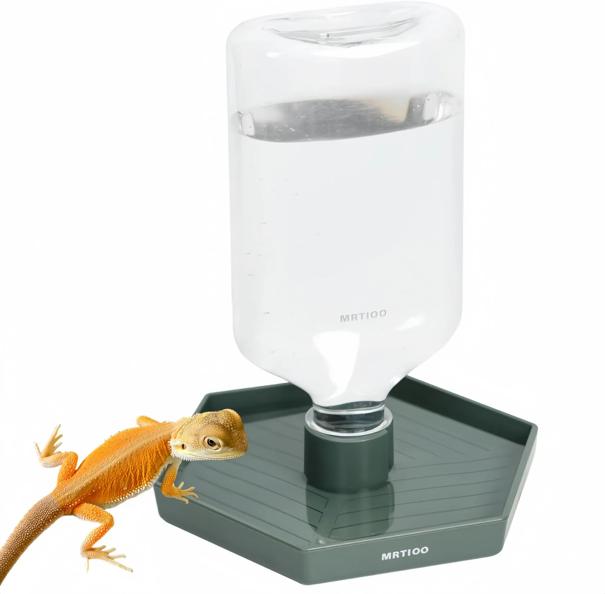 17oz Reptile Feeding Dish & Automatic Water Dispenser - Perfect for ...