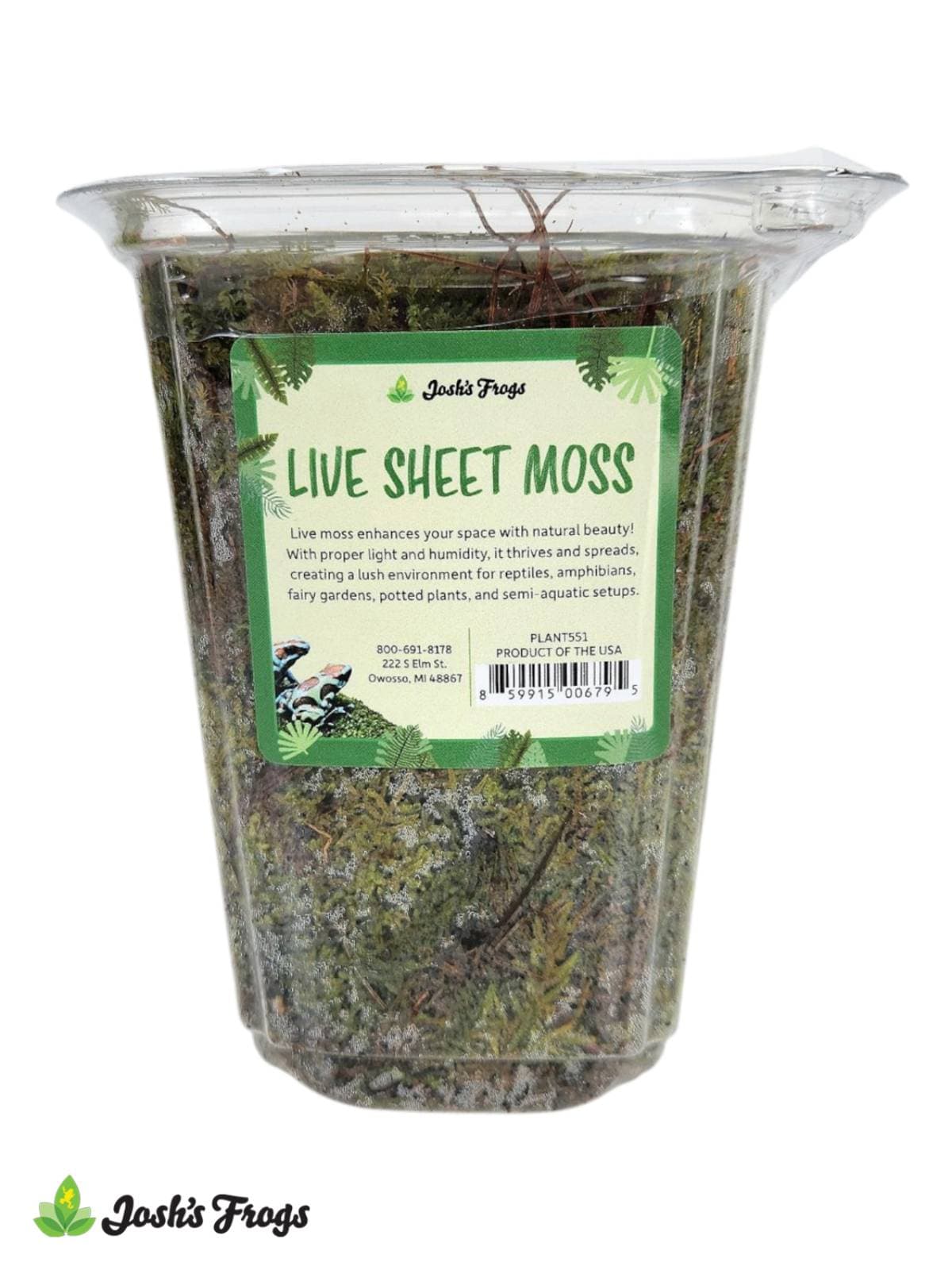 Josh's Frogs Live Sheet Moss | Medium