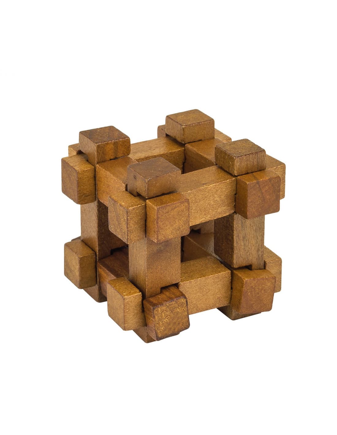 Mini Casse-Tête en Bois darwin - professor puzzle