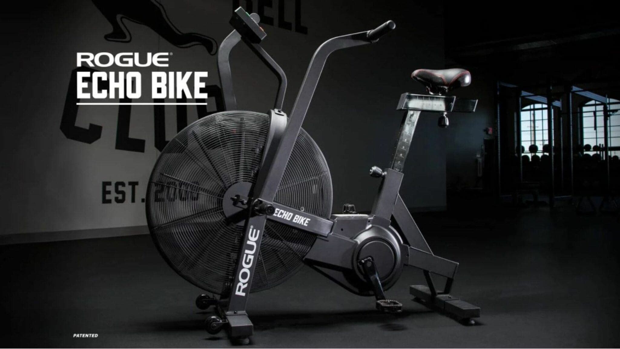 Rogue Echo Bike Review - After 2 Years of Use