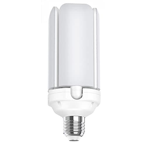 Reviews for Feit Electric 40-Watt Equivalent G16.5 Dimmable White ...
