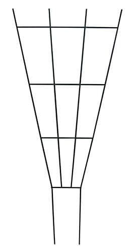 Amazon.com : Panacea Forged Fan Trellis with Curls : Trellises : Patio ...