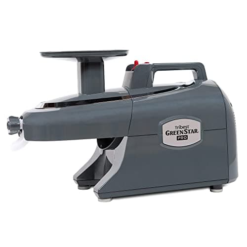 Angel Juicer 7500 Twin Gear Stainless Steel Juicer (Super Angel Pro ...