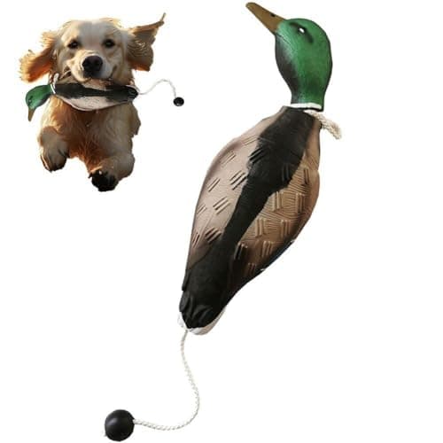 Amazon.com: Duck Dog Puppy Training Kit - Complete with Mallard Dummy ...