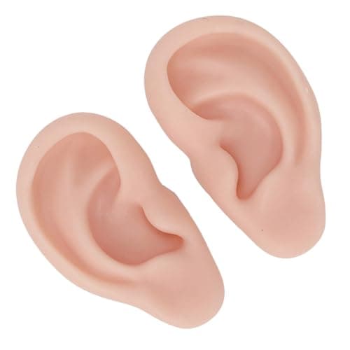 Silicone prosthetic ear | Dental art, Anatomy art, Medical illustration