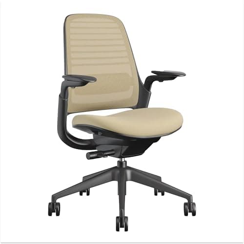 Amazon.com: Steelcase Series 1 Office Chair - Ergonomic Work Chair ...