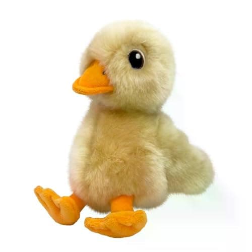 Kong Duck