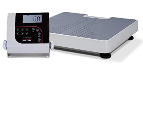 Rice Lake Roughdeck Floor Scale