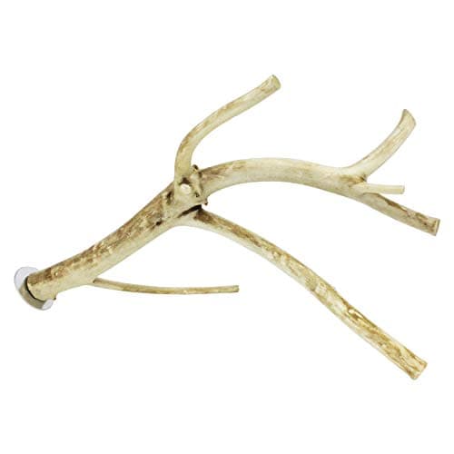 Prevue Pet Products 48081010525 18 in. Naturals Y-Branch Perch - Coffee ...
