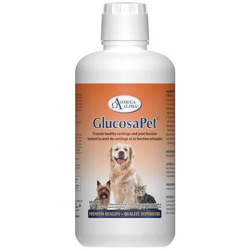 The Ultimate Guide on Supplements for Cats