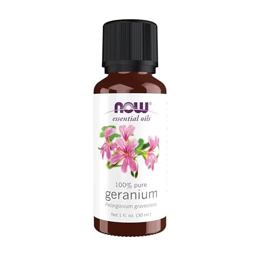 Amazon.com: NOW Foods, Rose Absolute, 5% oil blend, 1 Ounce (Pack ...