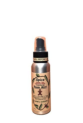Pier Place Holiday Spice Room Spray - World Market
