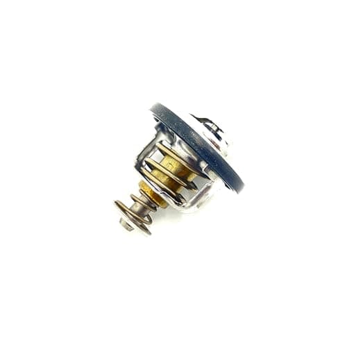 Polaris OEM Thermostat Assembly