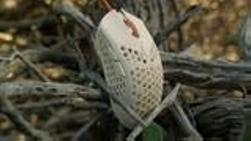Finalmouse UltralightX