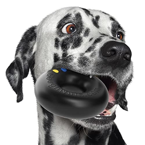 Goughnuts Black MaXX Ring Pro 50 | Dog Chew Toy For Chewers - J&J Dog ...