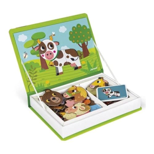 Tegu jeu de blocs magnétiques en bois