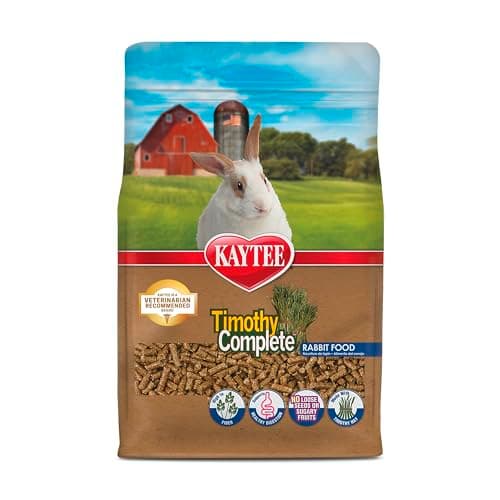 Best Chinchilla Food (Top Pellets + Tips)
