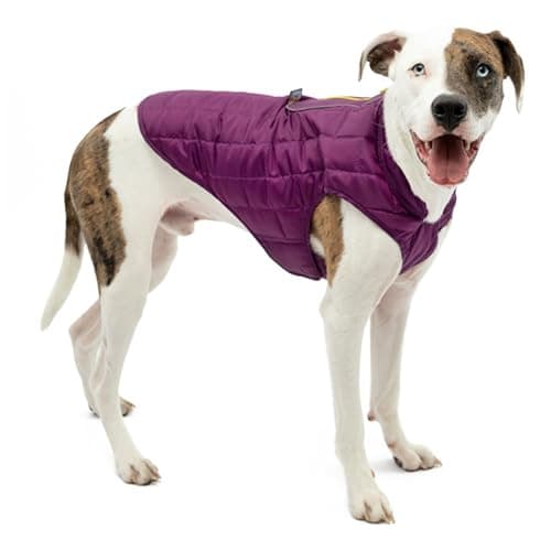 Kurgo Loft Wander Dog Jacket