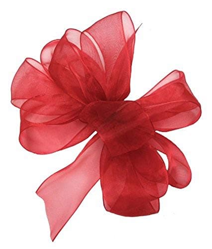 Ruban en organza transparent Celebrate It