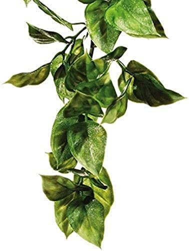 Exo Terra Plastic Plant Amapallo