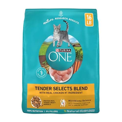 Amazon.com : Purina ONE Natural Dry Cat Food, Tender Selects Blend ...